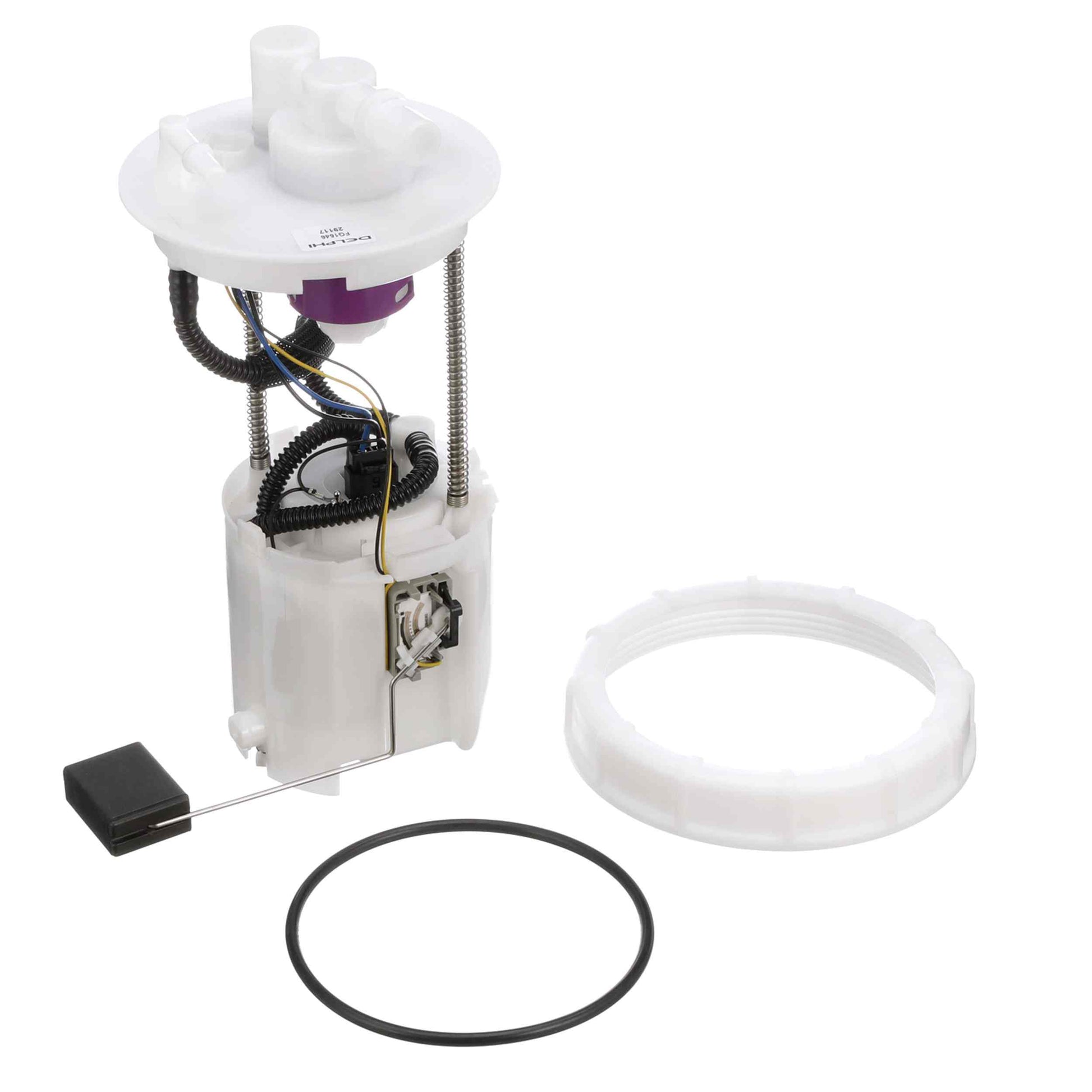 Kit View of Fuel Pump Module Assembly DELPHI FG1546