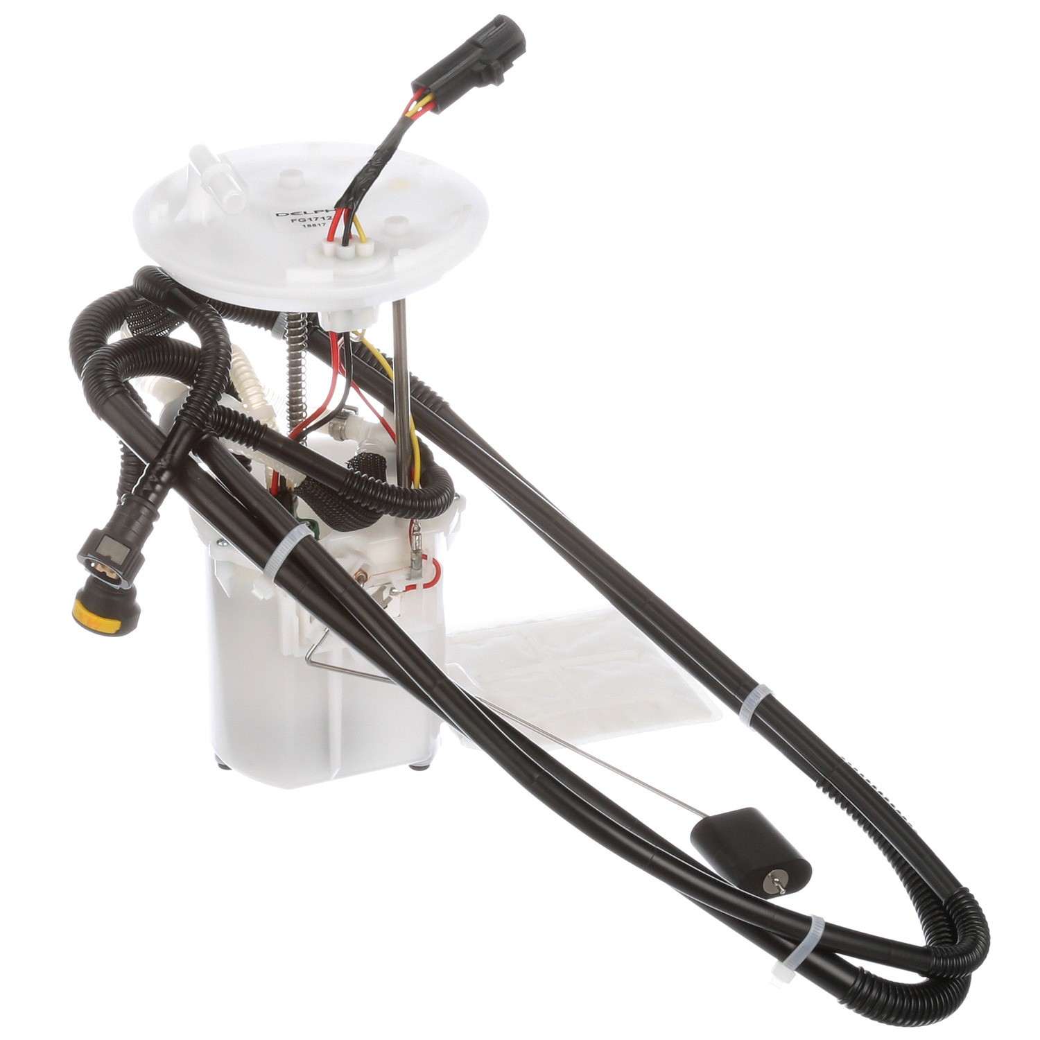 Angle View of Fuel Pump Module Assembly DELPHI FG1712