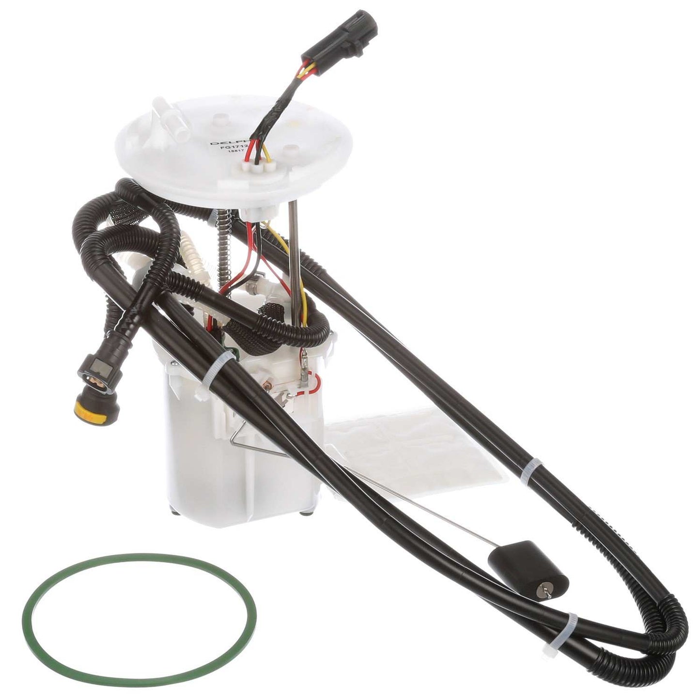 Kit View of Fuel Pump Module Assembly DELPHI FG1712