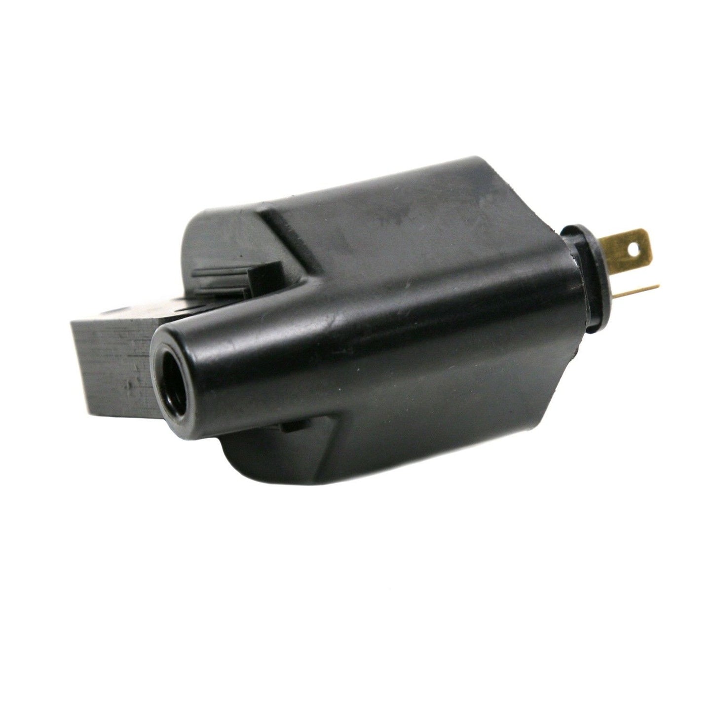 Side View of Ignition Coil DELPHI GN10170