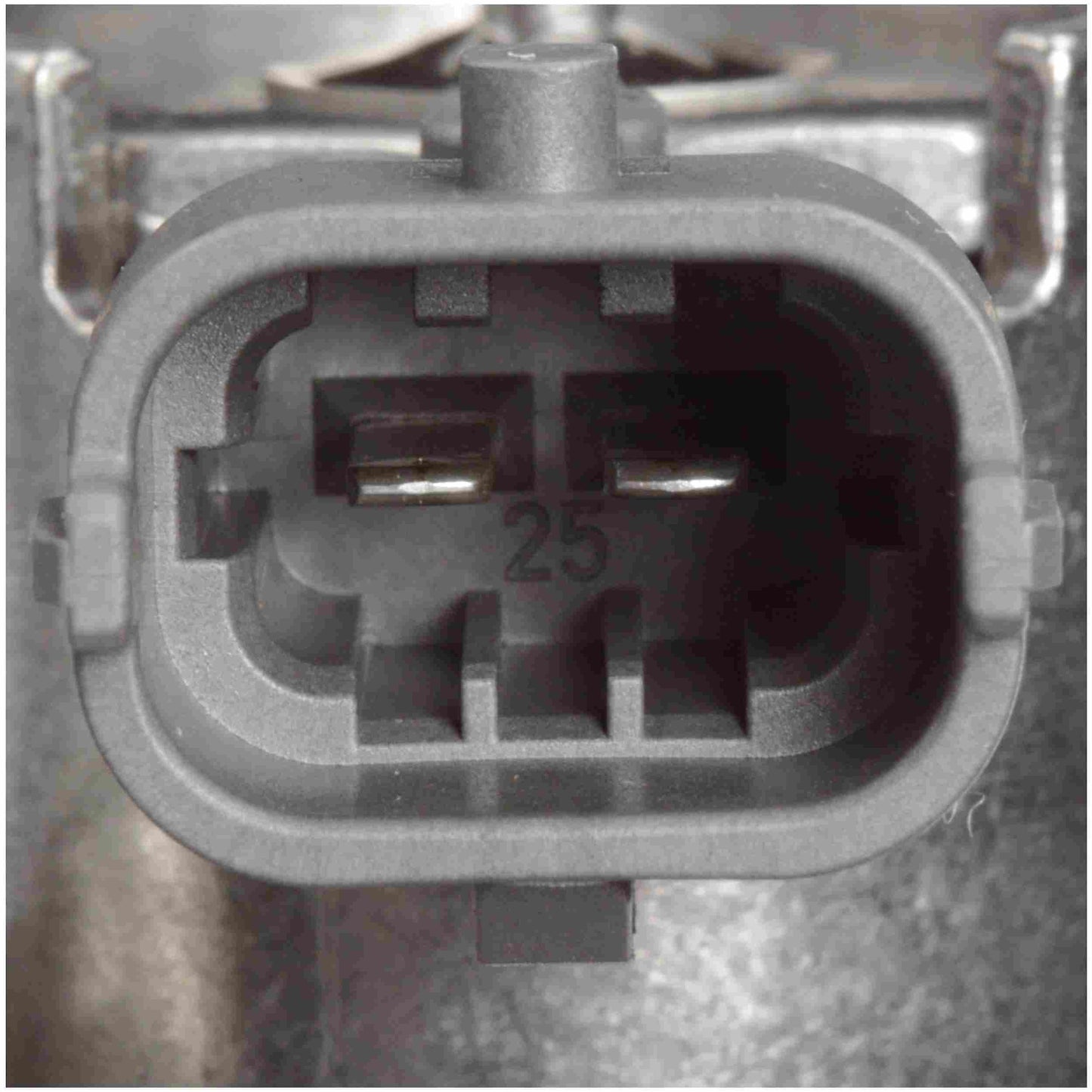 Connector View of Direct Injection High Pressure Fuel Pump DELPHI HM10016