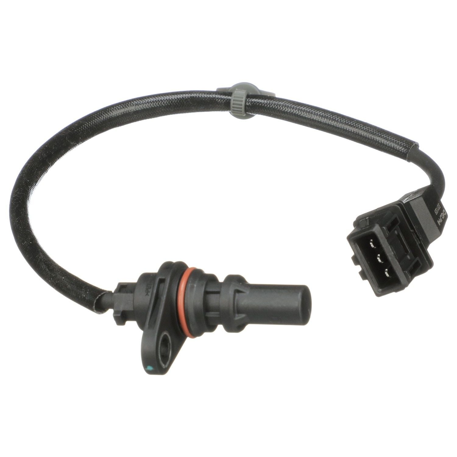 Angle View of Engine Crankshaft Position Sensor DELPHI SS11329