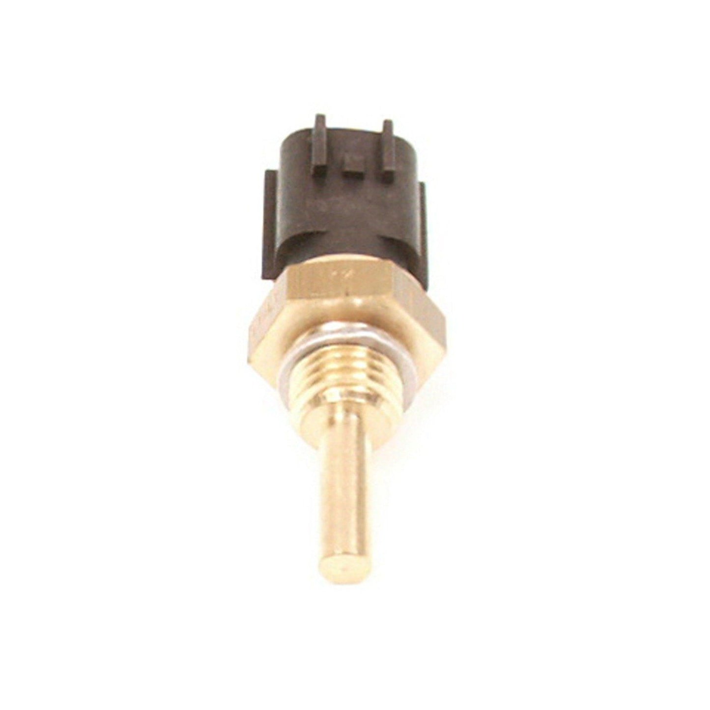 Back View of Engine Coolant Temperature Sensor DELPHI TS10064