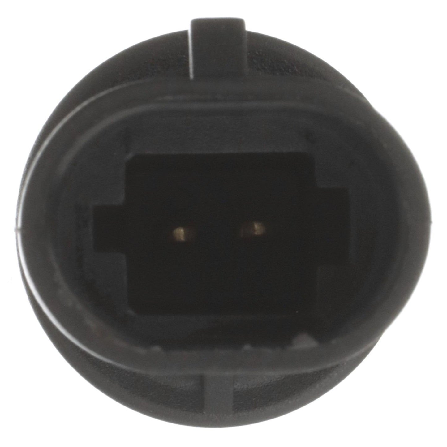 Left View of Air Charge Temperature Sensor DELPHI TS10072