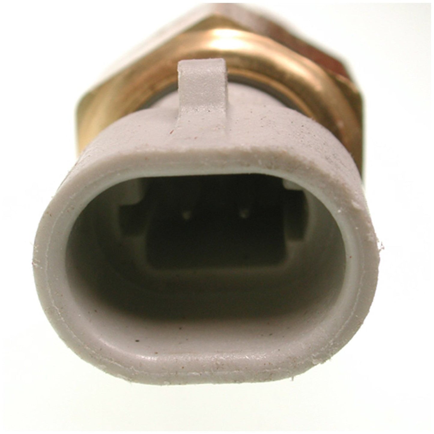 Connector View of Air Charge Temperature Sensor DELPHI TS10080