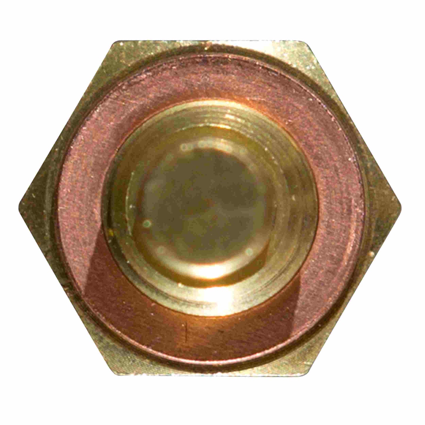 Top View of Engine Coolant Temperature Sensor DELPHI TS10250