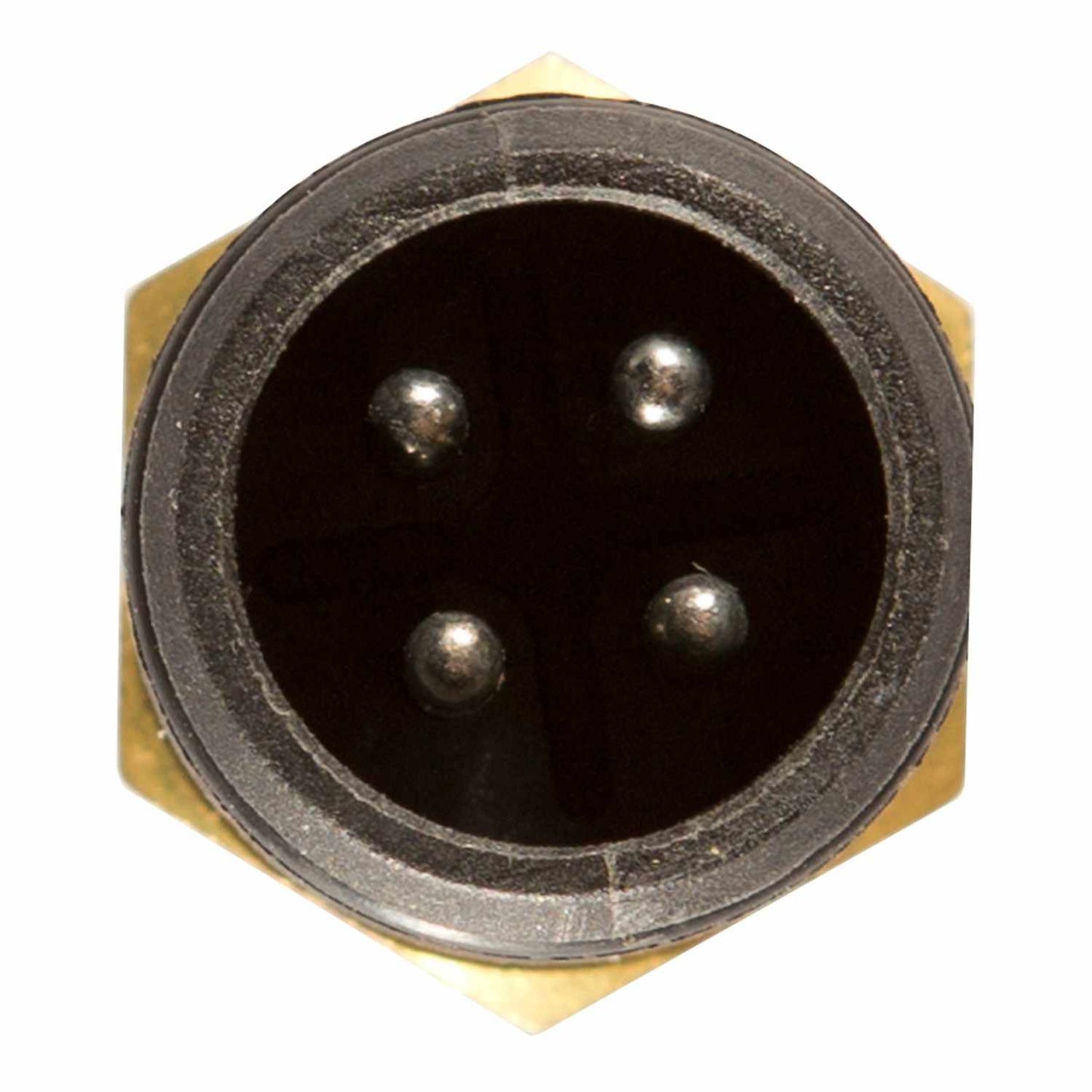 Connector View of Engine Coolant Temperature Sensor DELPHI TS10263