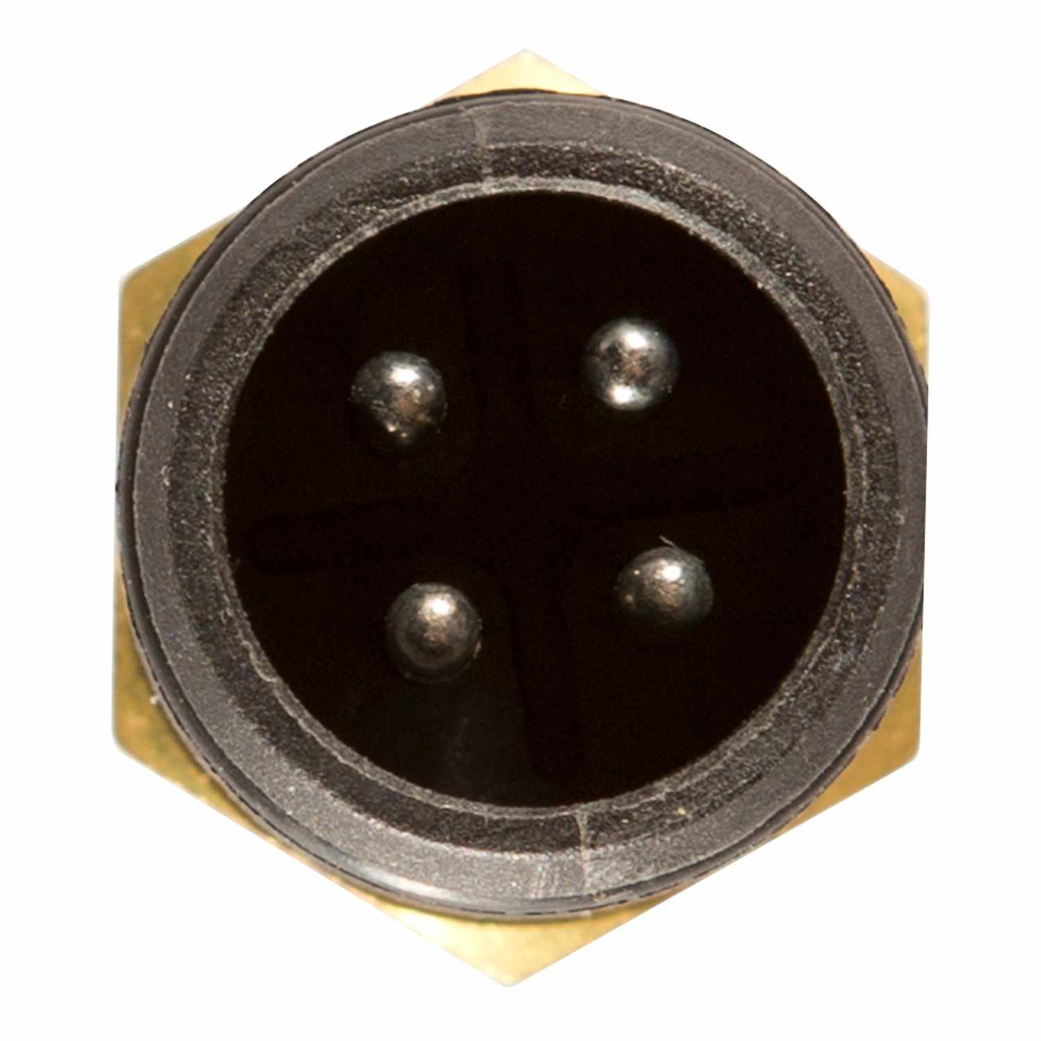 Connector View of Engine Coolant Temperature Sensor DELPHI TS10263