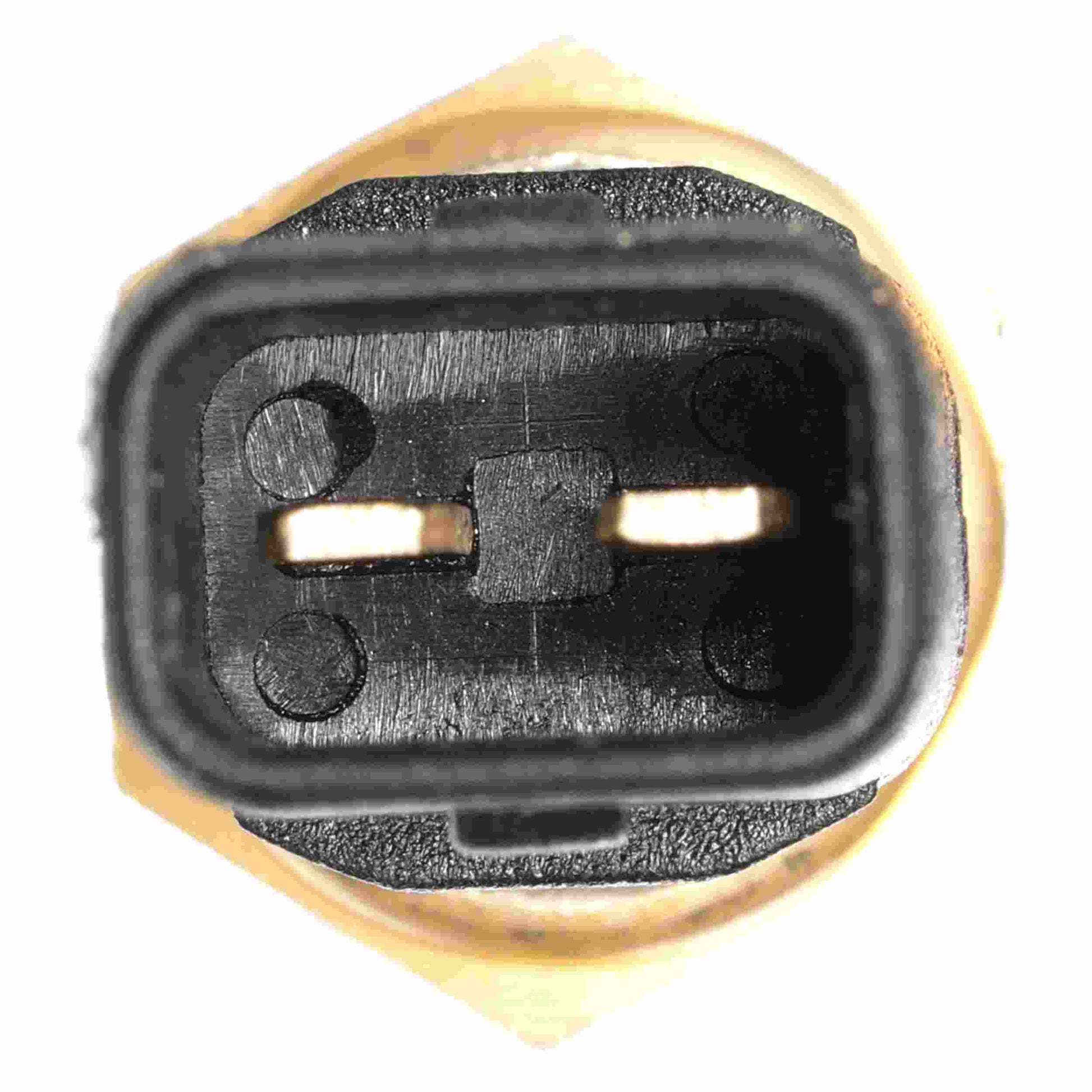 Connector View of Engine Coolant Temperature Sensor DELPHI TS10295