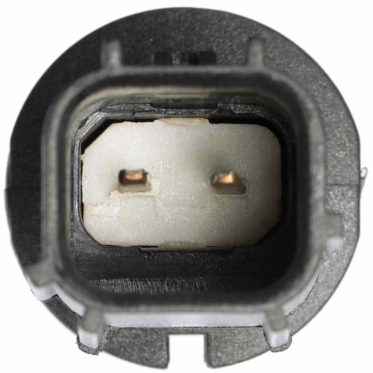 Connector View of Air Charge Temperature Sensor DELPHI TS10537