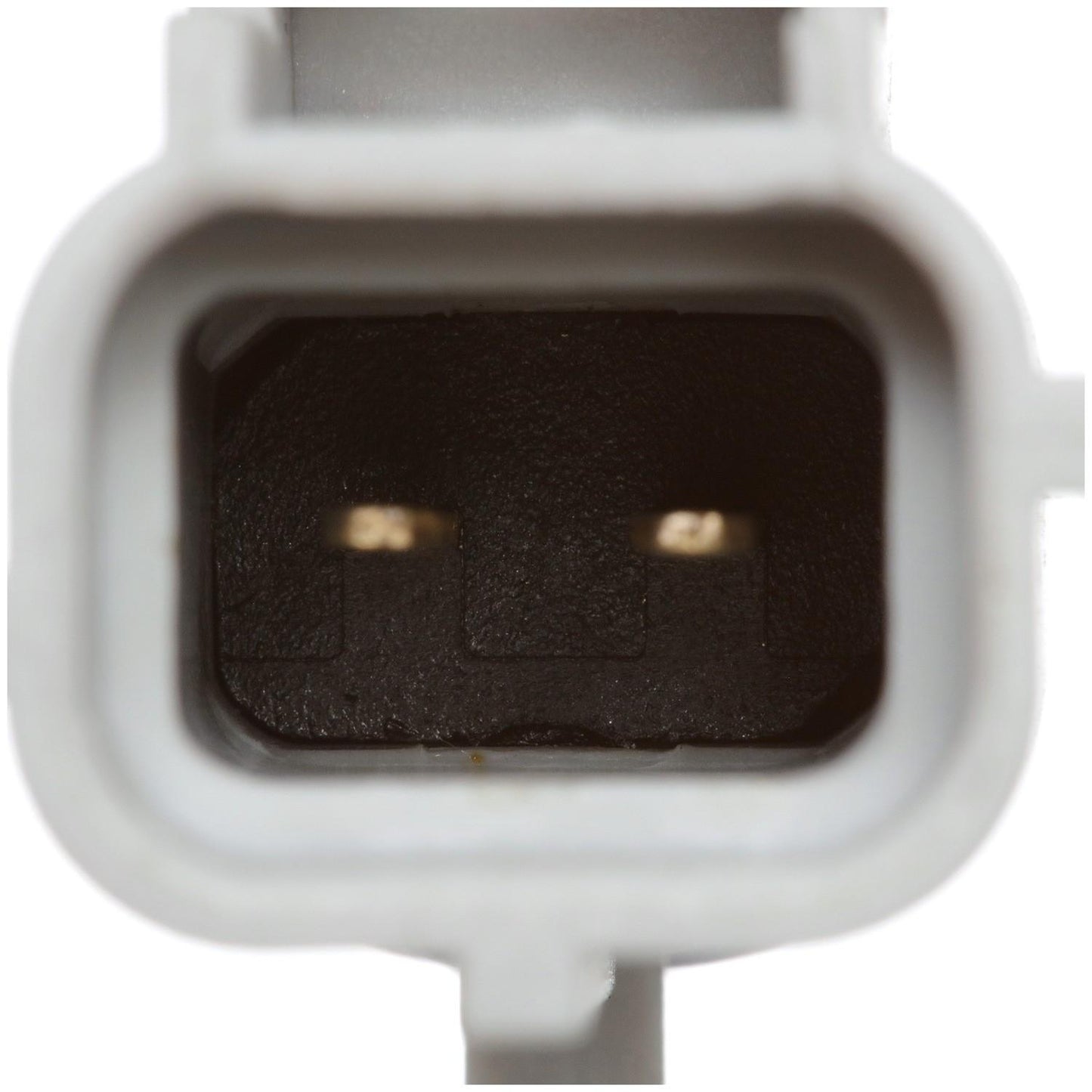 Connector View of Air Charge Temperature Sensor DELPHI TS10538