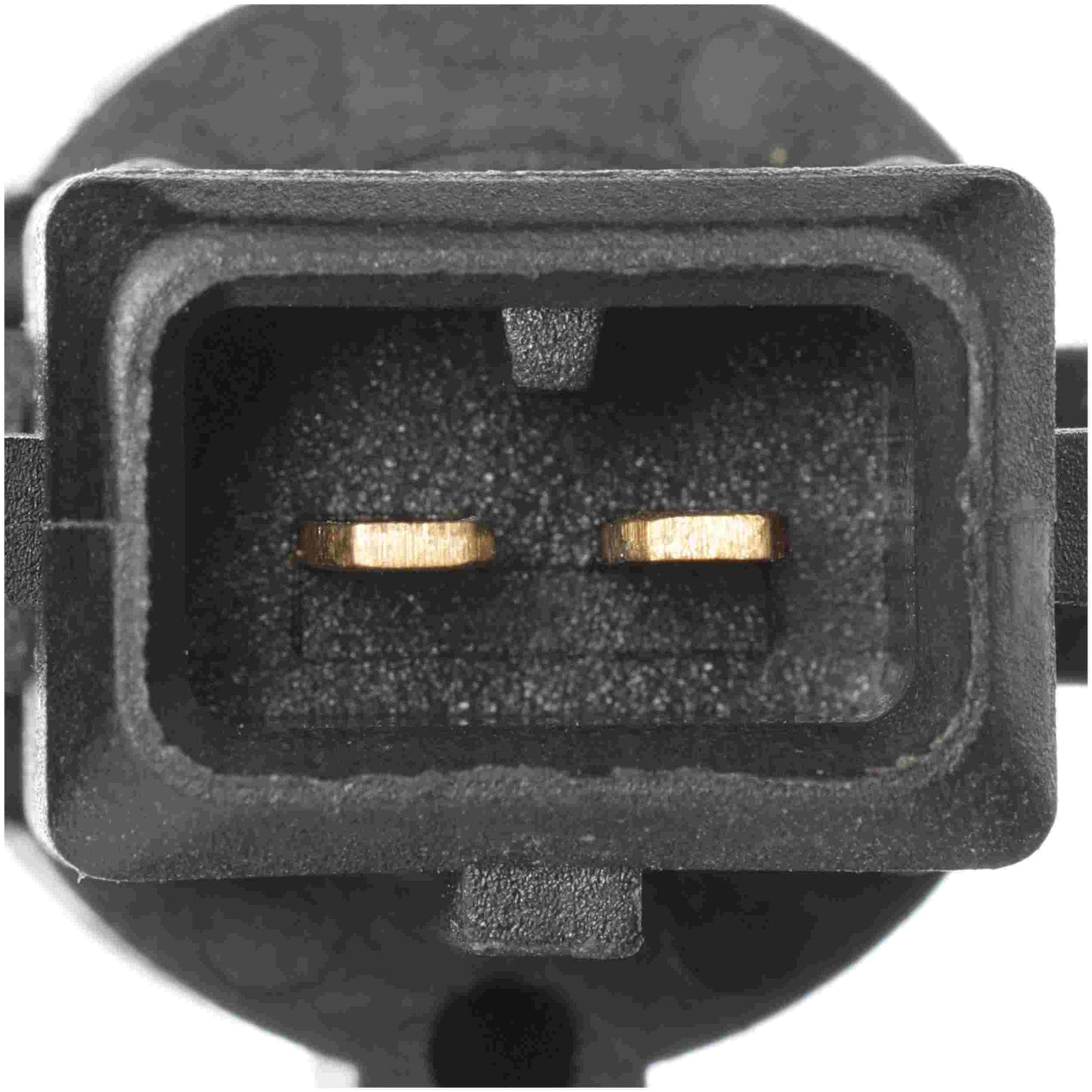 Connector View of Engine Coolant Temperature Sensor DELPHI TS10544