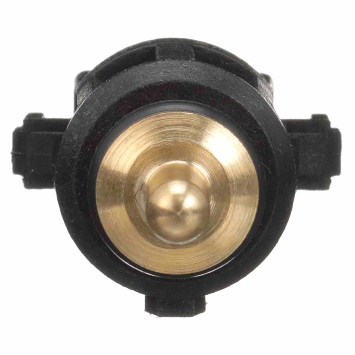 Right View of Engine Coolant Temperature Sensor DELPHI TS10544