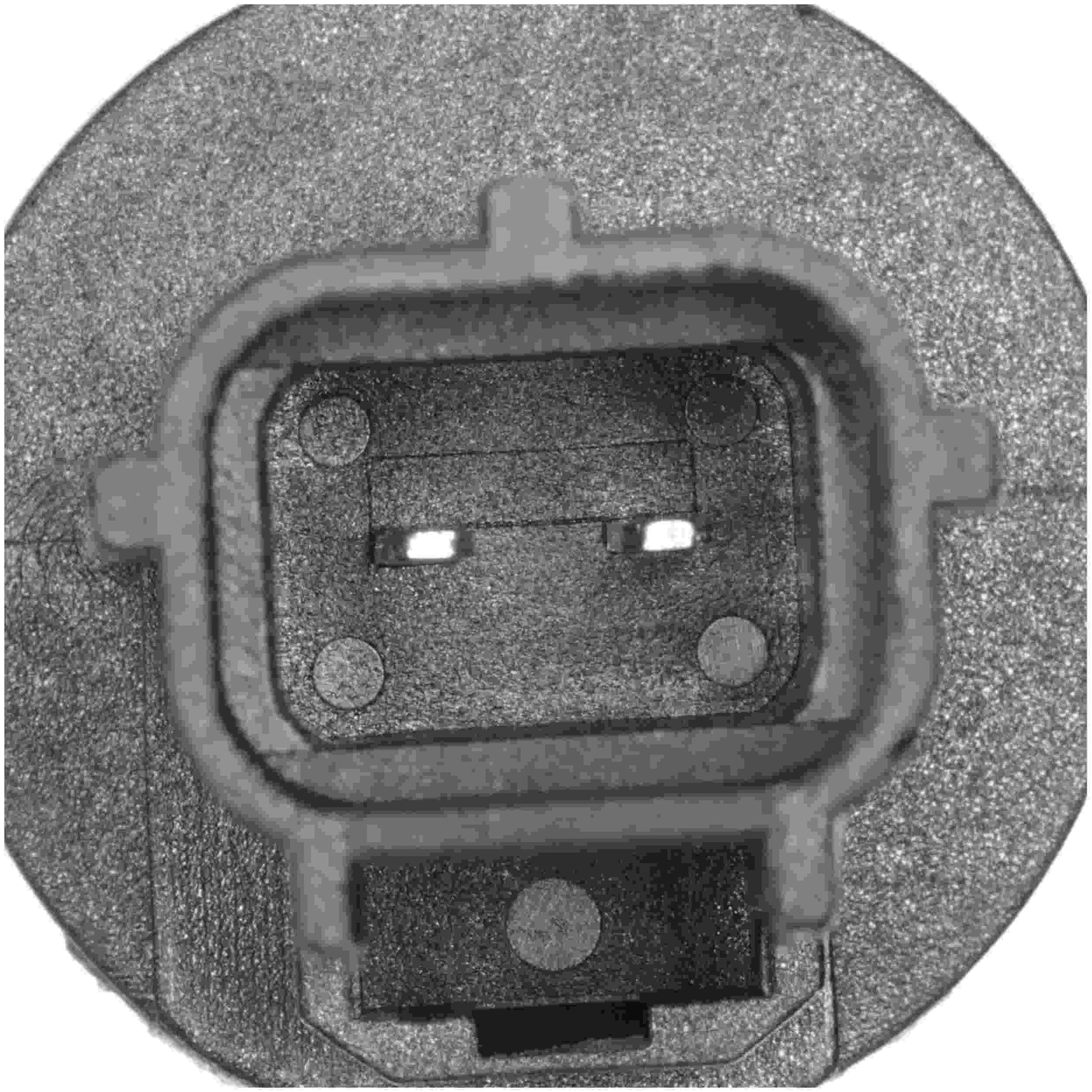 Connector View of Engine Coolant Temperature Sensor DELPHI TS10546