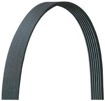 Front View of Serpentine Belt DAYCO 5030243DR