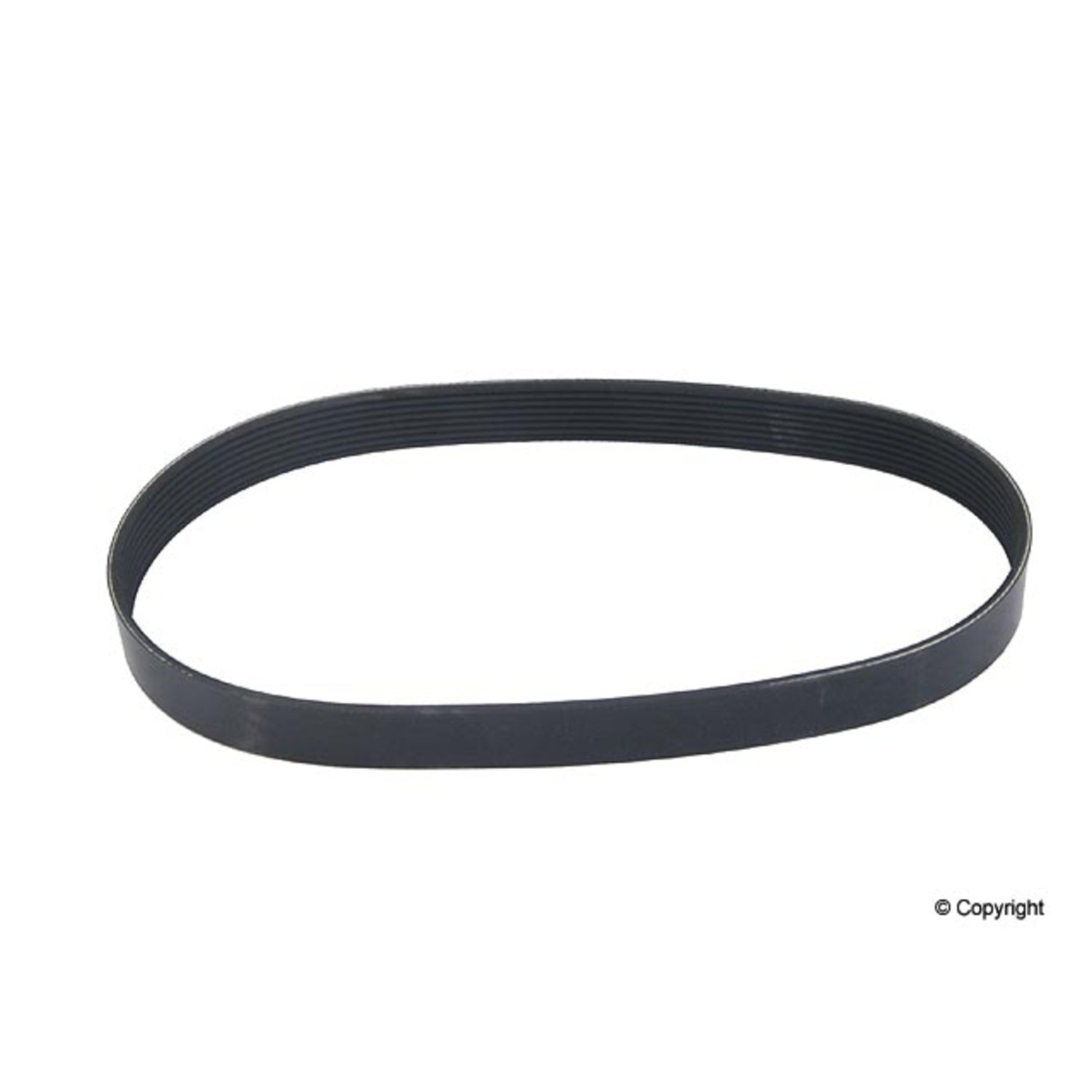 Front View of Serpentine Belt DAYCO PQS500221