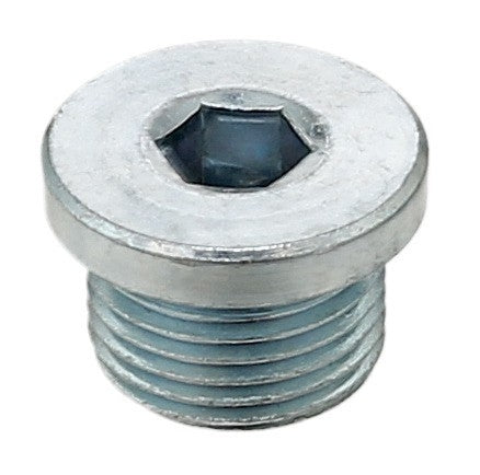 Front View of Drain Plug ELRING 587.140