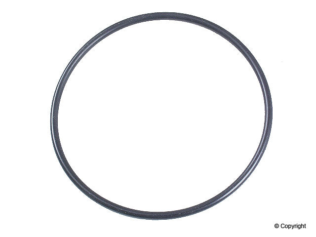 Front View of Spark Plug Tube Seal ELWIS 73.555.42N