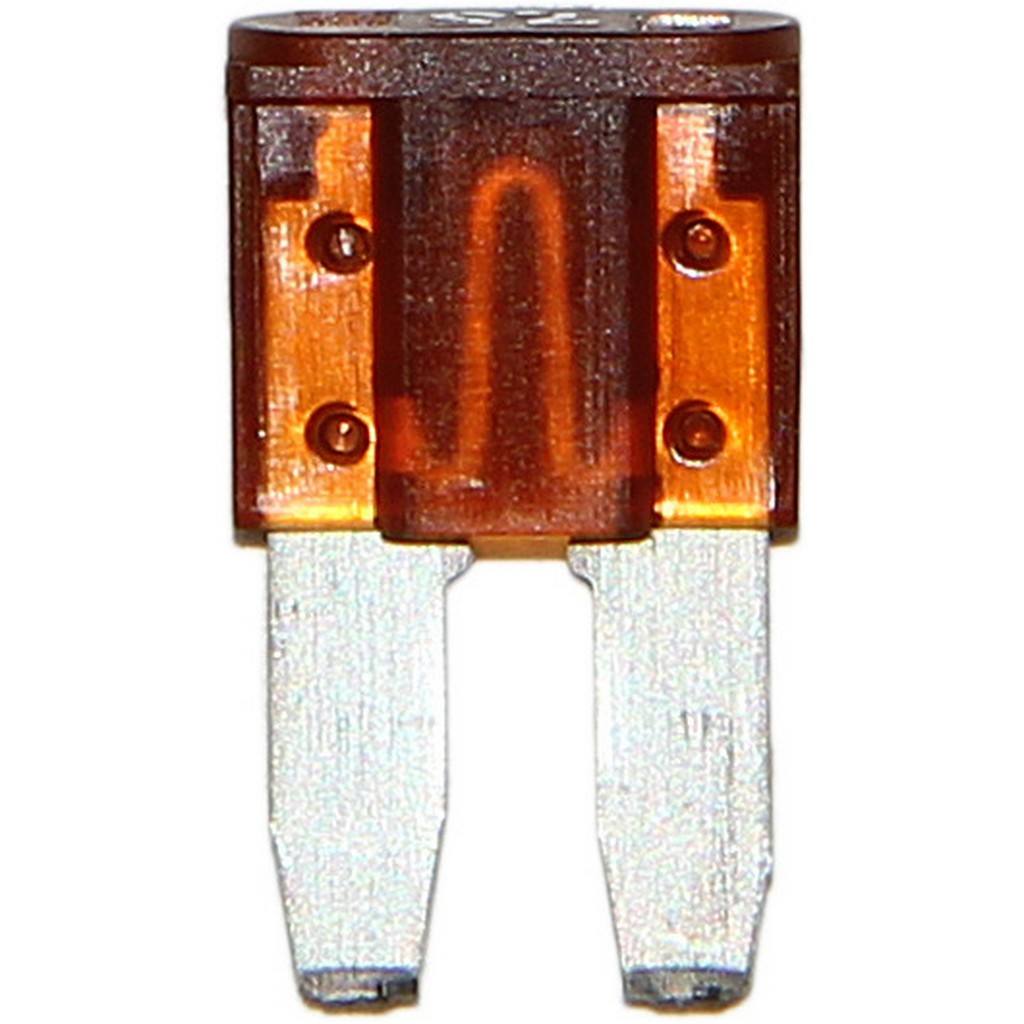 Connector View of Fuse FLOSSER 502875