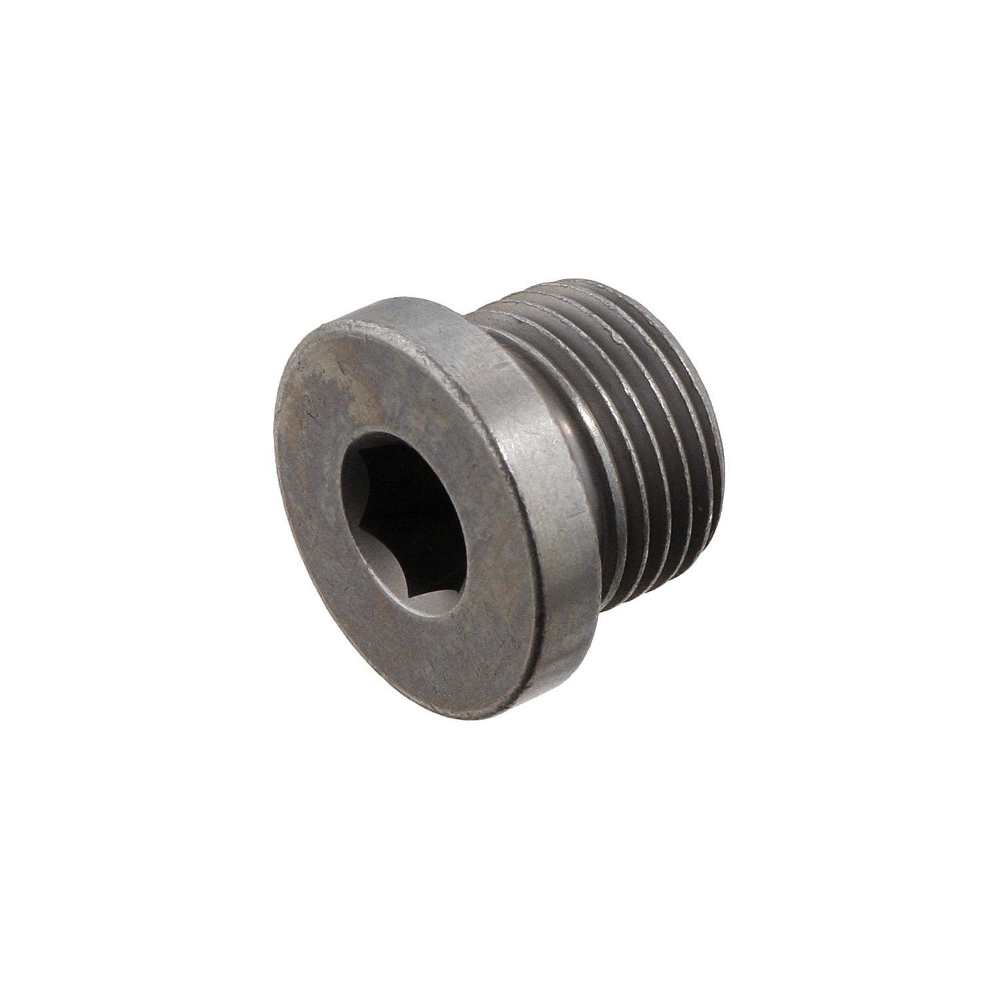 Front View of Engine Oil Drain Plug FEBI 31702