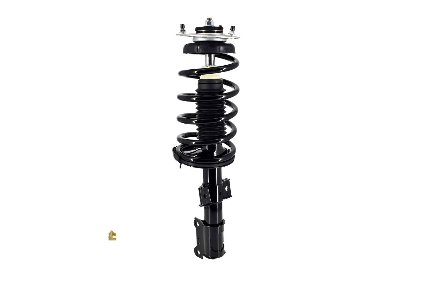 Bottom View of Front Suspension Strut and Coil Spring Assembly FCS 1333472