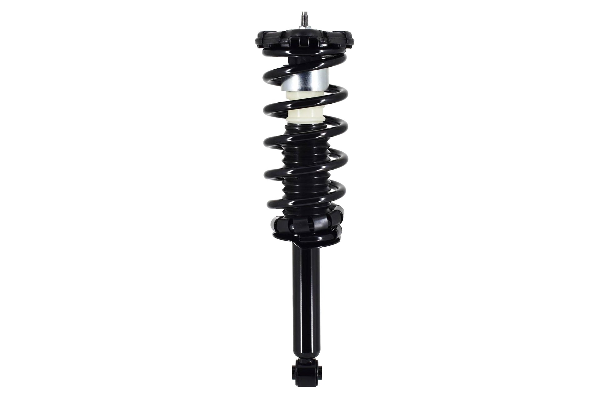 Front View of Rear Suspension Strut and Coil Spring Assembly FCS 1336339