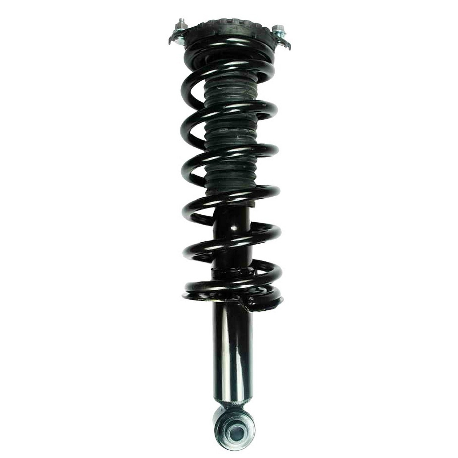 Front View of Rear Suspension Strut and Coil Spring Assembly FCS 1345402