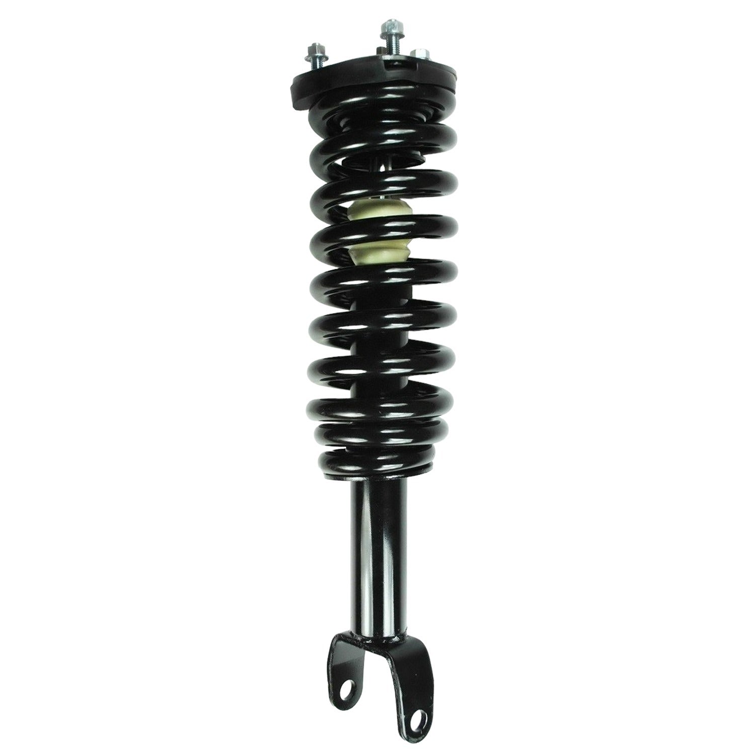 Front View of Front Suspension Strut and Coil Spring Assembly FCS 1345556