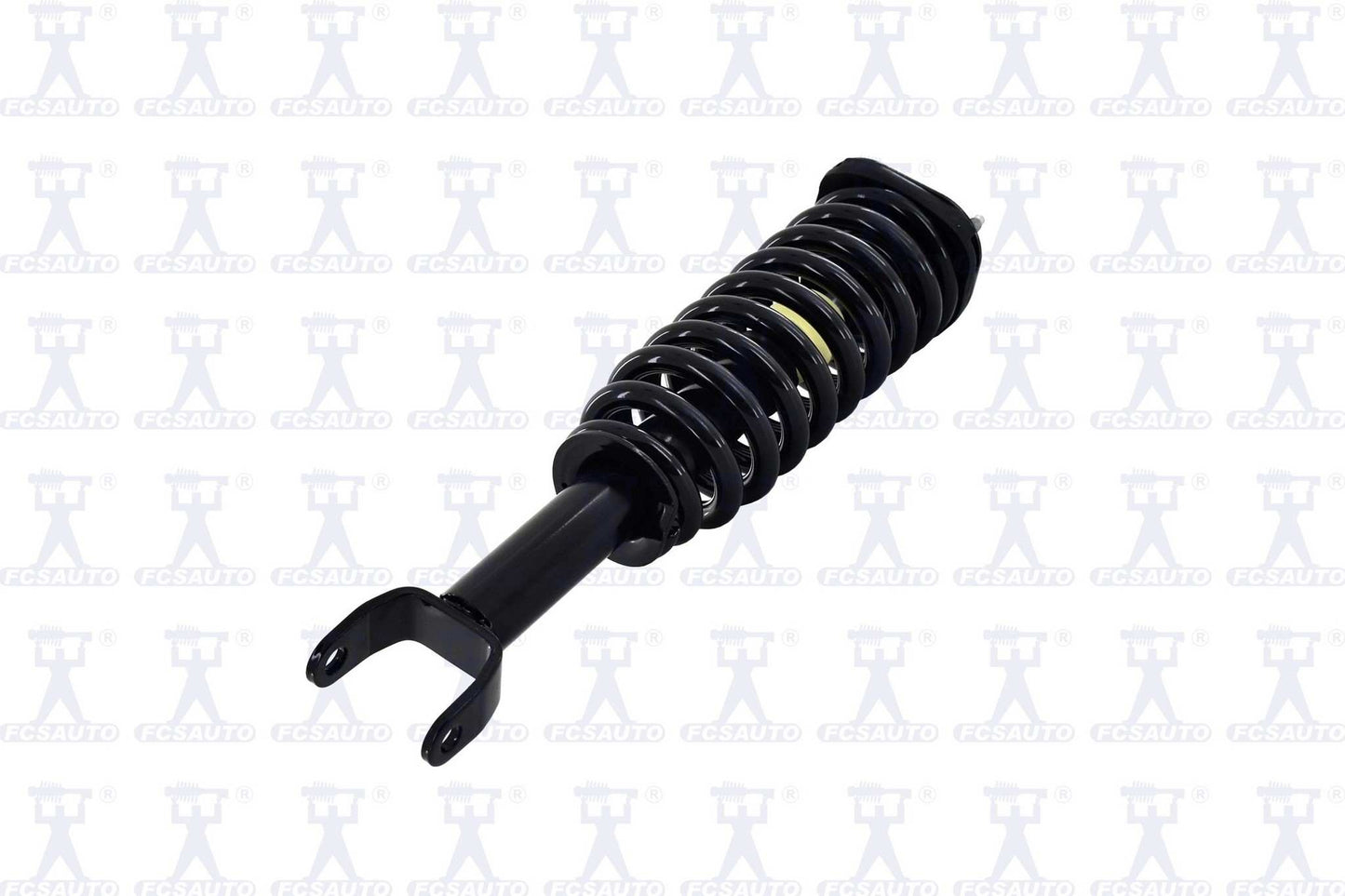 Back View of Front Suspension Strut and Coil Spring Assembly FCS 2345556