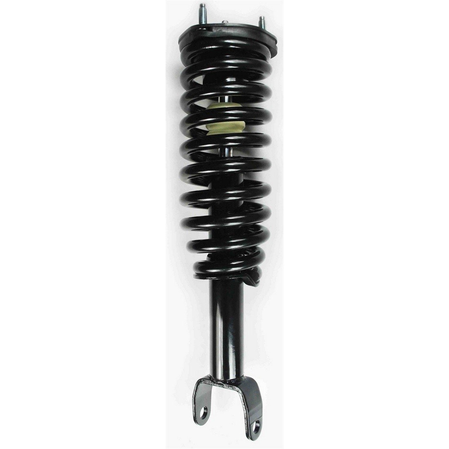 Front View of Front Suspension Strut and Coil Spring Assembly FCS 2345556