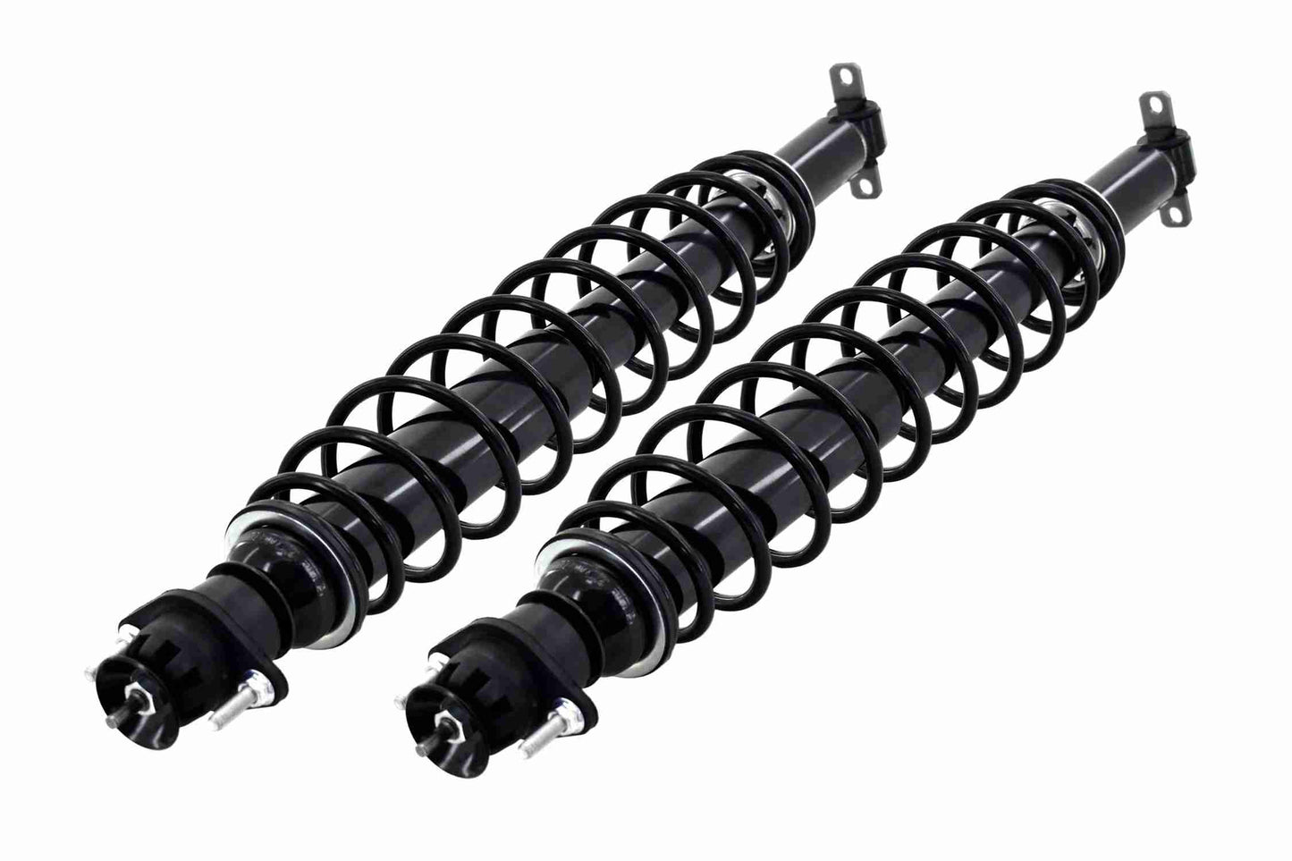 Bottom View of Rear Suspension Strut and Coil Spring Assembly FCS SC00001