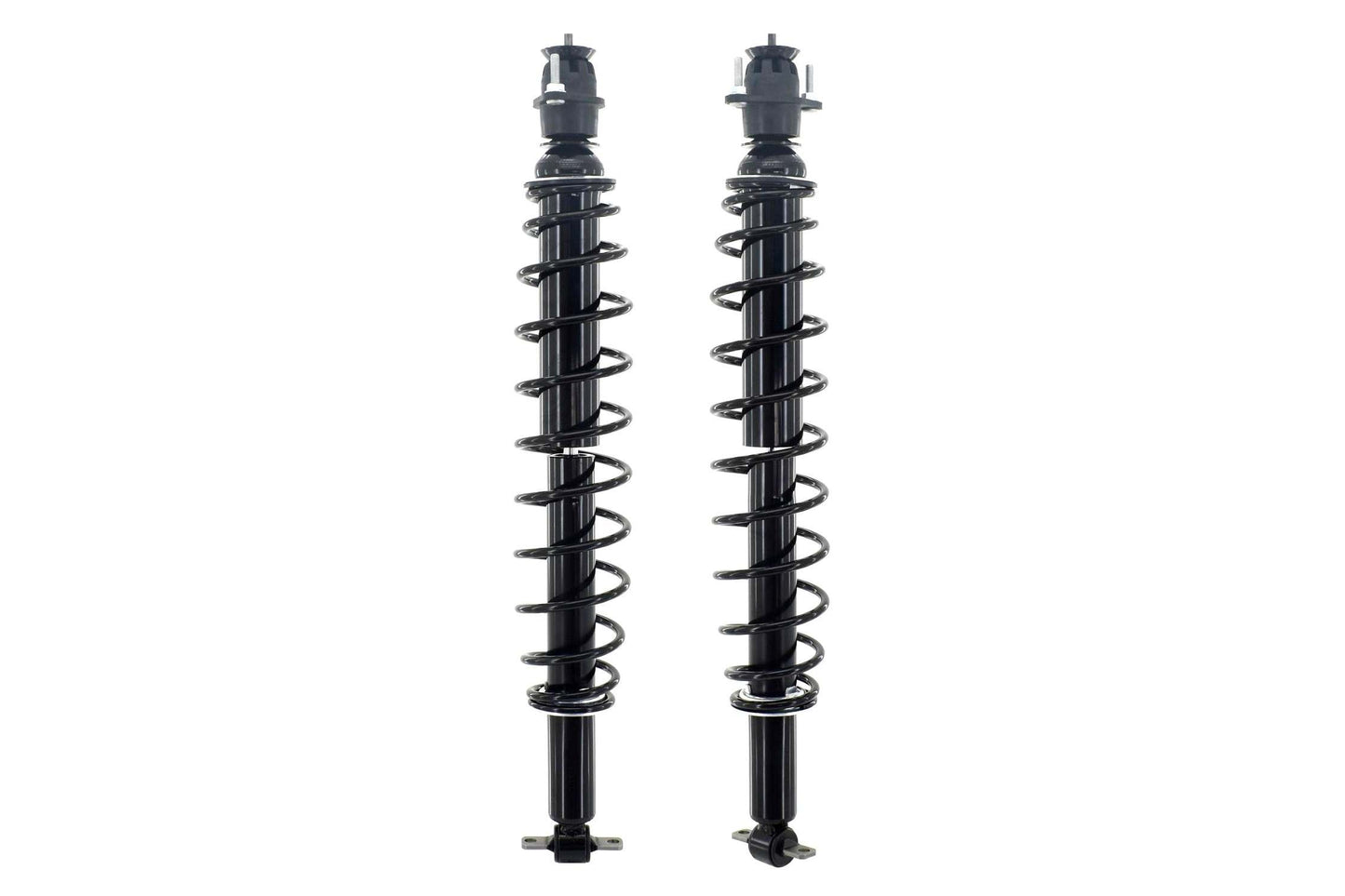 Front View of Rear Suspension Strut and Coil Spring Assembly FCS SC00001