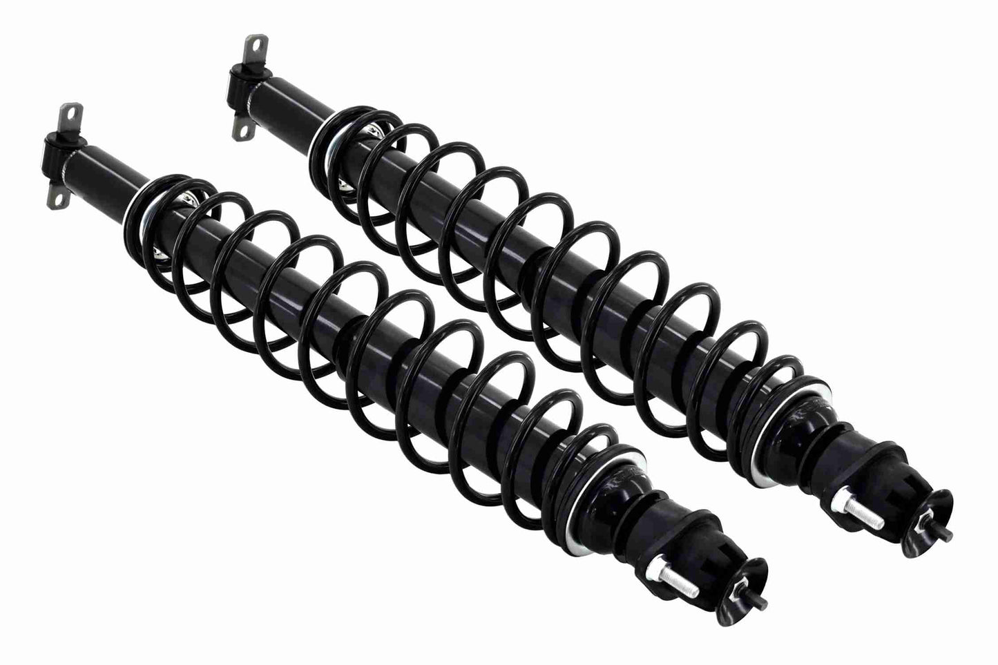 Left View of Rear Suspension Strut and Coil Spring Assembly FCS SC00001