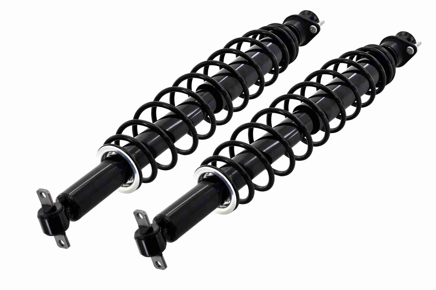 Right View of Rear Suspension Strut and Coil Spring Assembly FCS SC00001