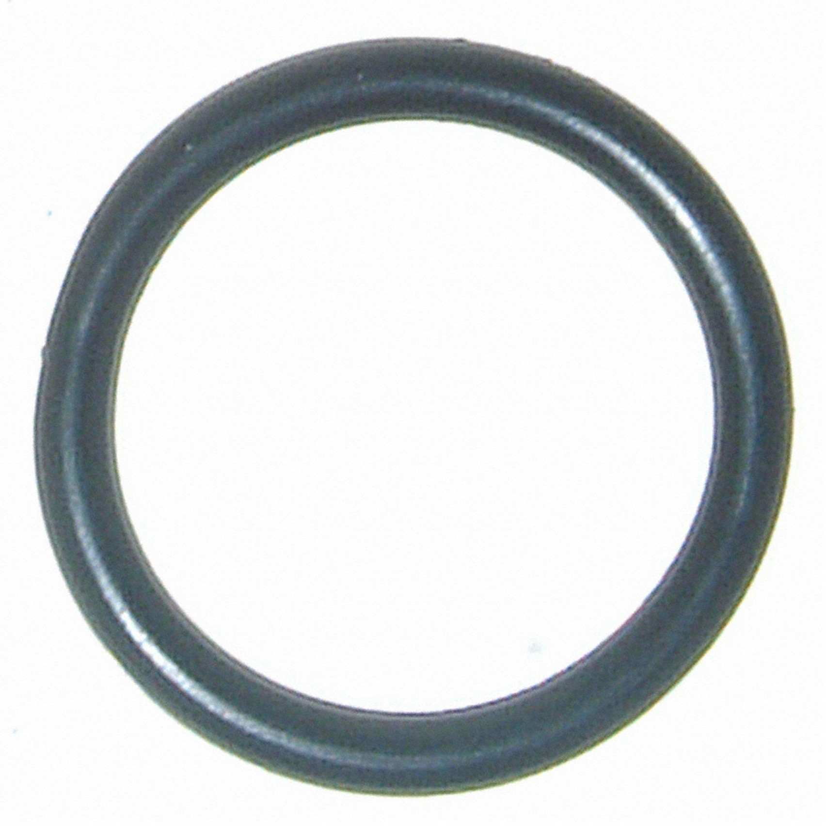 Top View of Fuel Pump O-Ring FEL 70015