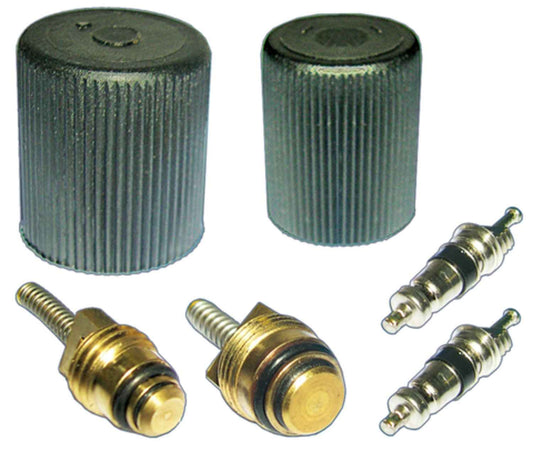 Angle View of A/C System Valve Core and Cap Kit FOUR SEASONS 26779