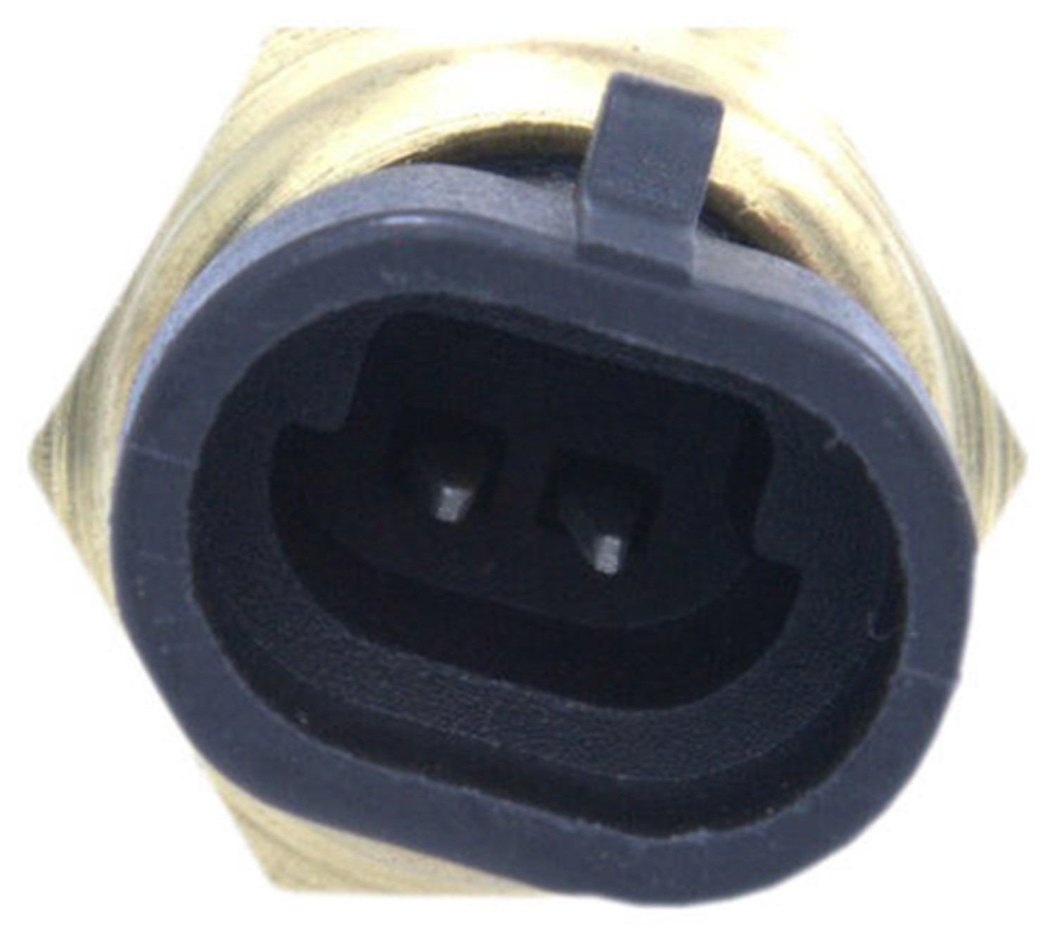 Connector View of Engine Coolant Temperature Sensor FOUR SEASONS 36419