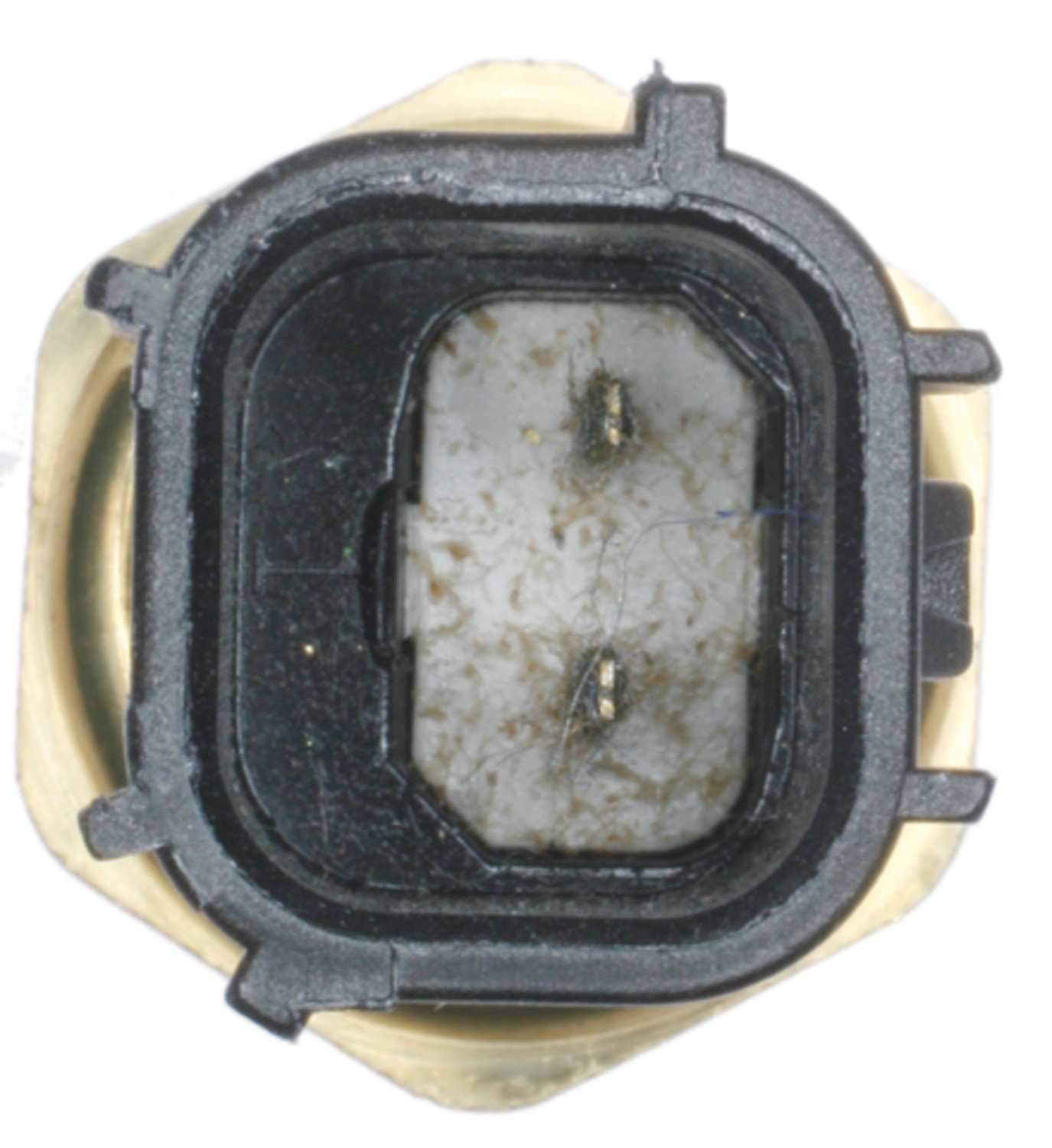 Connector View of Engine Coolant Temperature Sensor FOUR SEASONS 37877