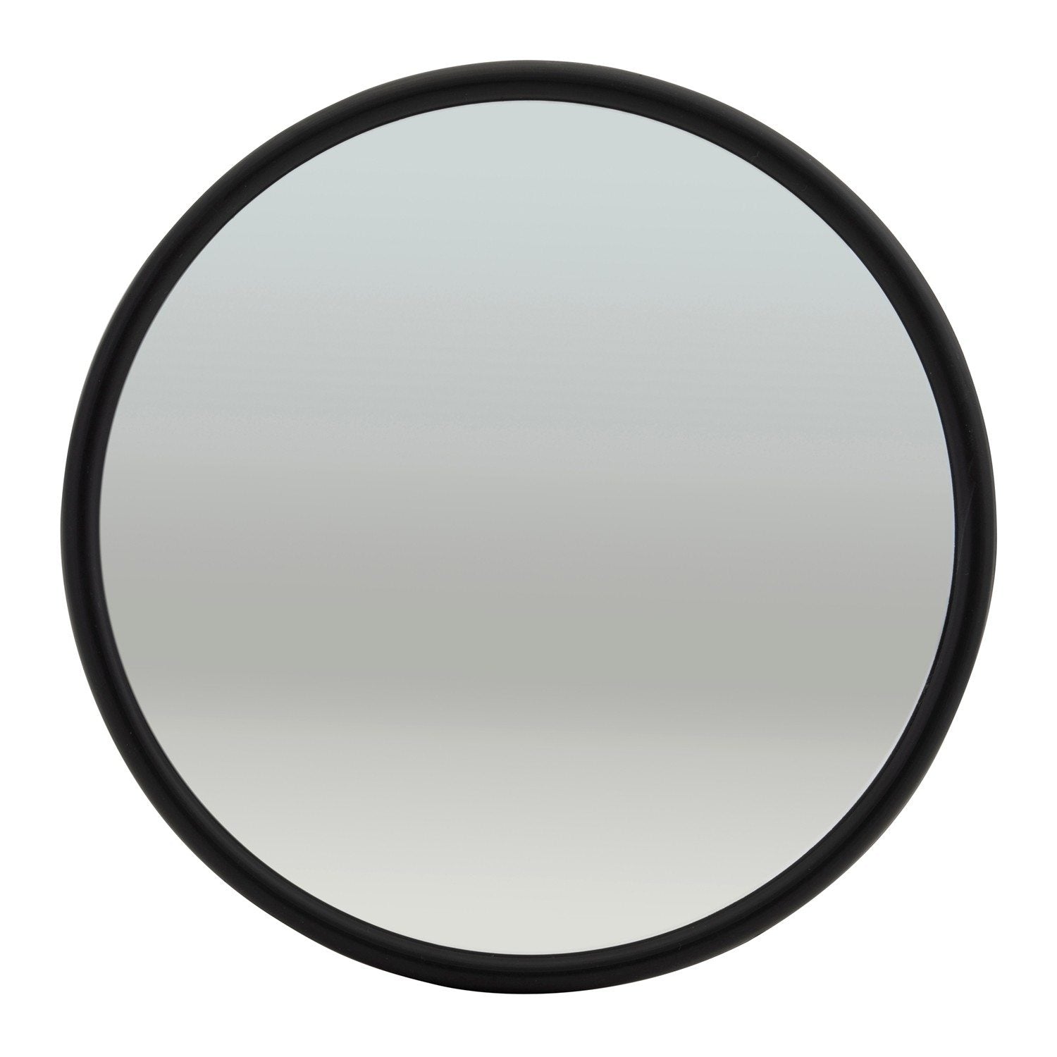 Front View of Door Mirror GROTE 12182