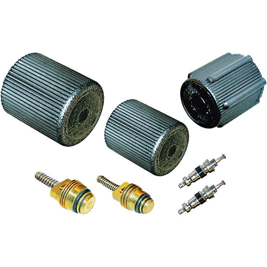 A/C System Valve Core and Cap Kit GPD 1311569