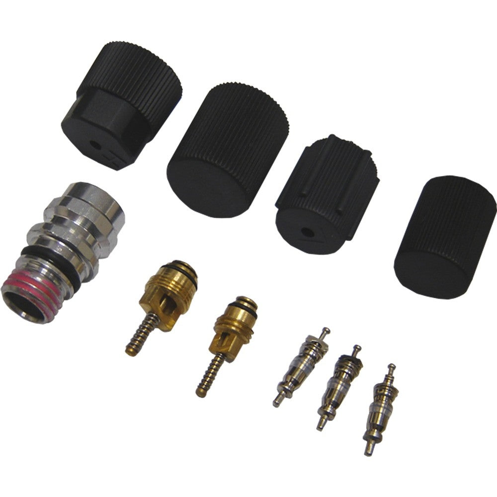 Front View of A/C System Valve Core and Cap Kit GPD 1311572