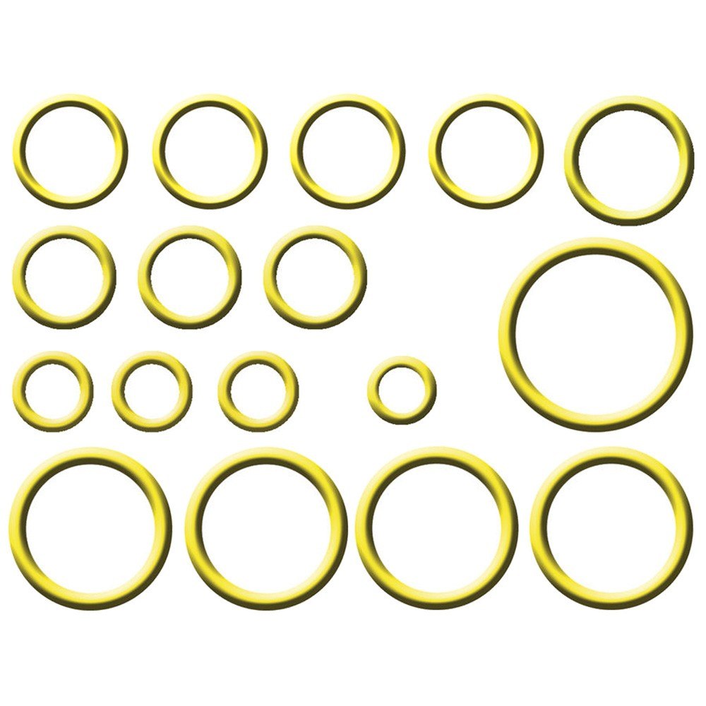 Front View of A/C System O-Ring and Gasket Kit GPD 1321319