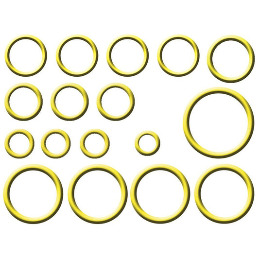 Front View of A/C System O-Ring and Gasket Kit GPD 1321319