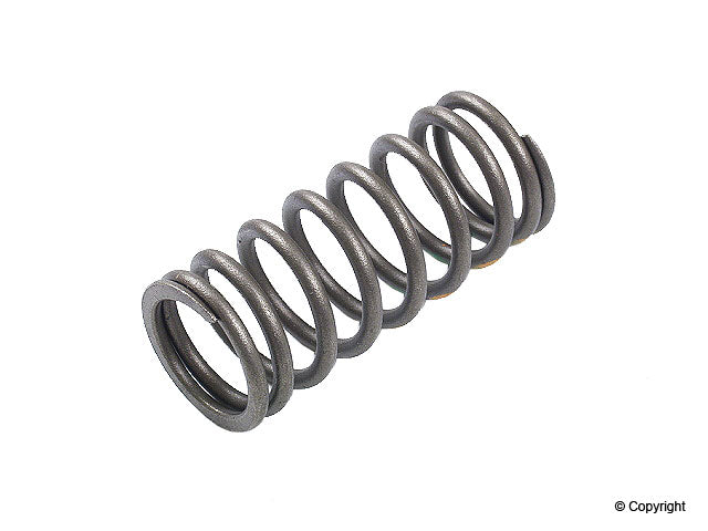 Front View of Engine Valve Spring GENUINE 11341706584