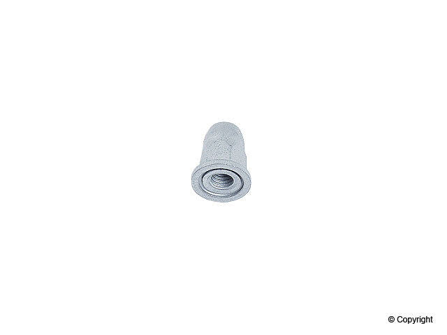 Front View of Fuel Pump Cap Nut GENUINE 11617549043