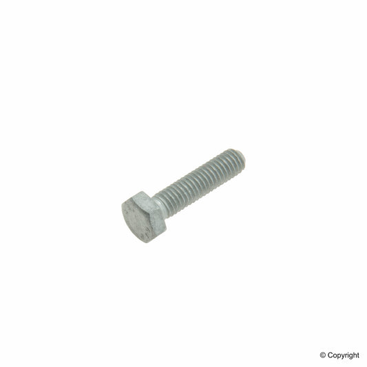 Front View of Screw GENUINE 304017006019