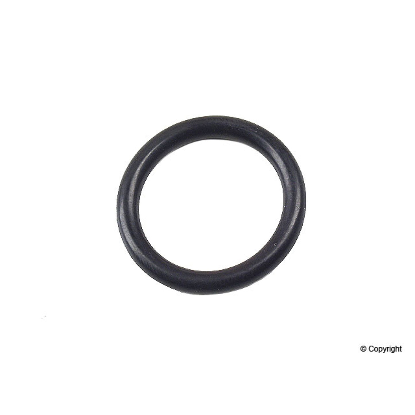 Front View of Fuel Filter O-Ring GENUINE 6019970148