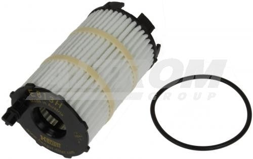 Top View of Engine Oil Filter HENGST E813H01D188