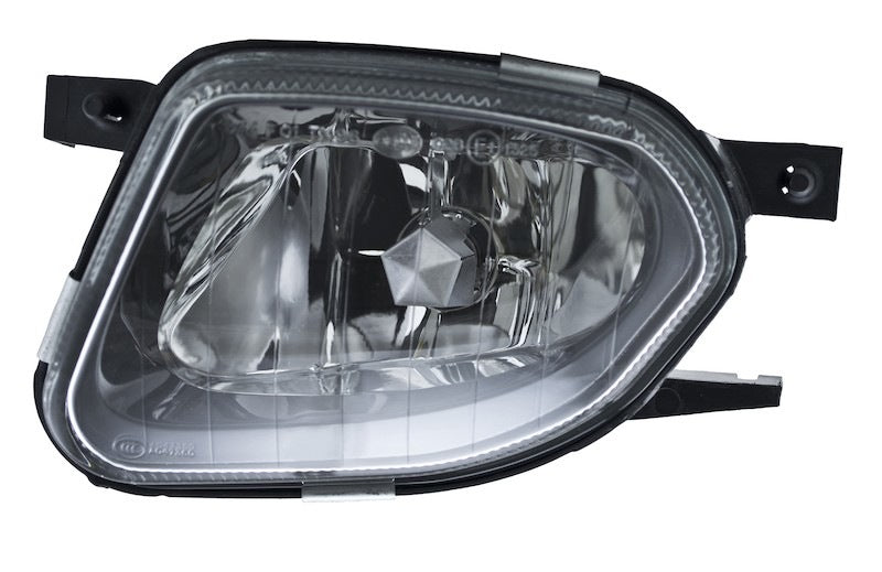 Front View of Left Fog Light Assembly HELLA 008275071