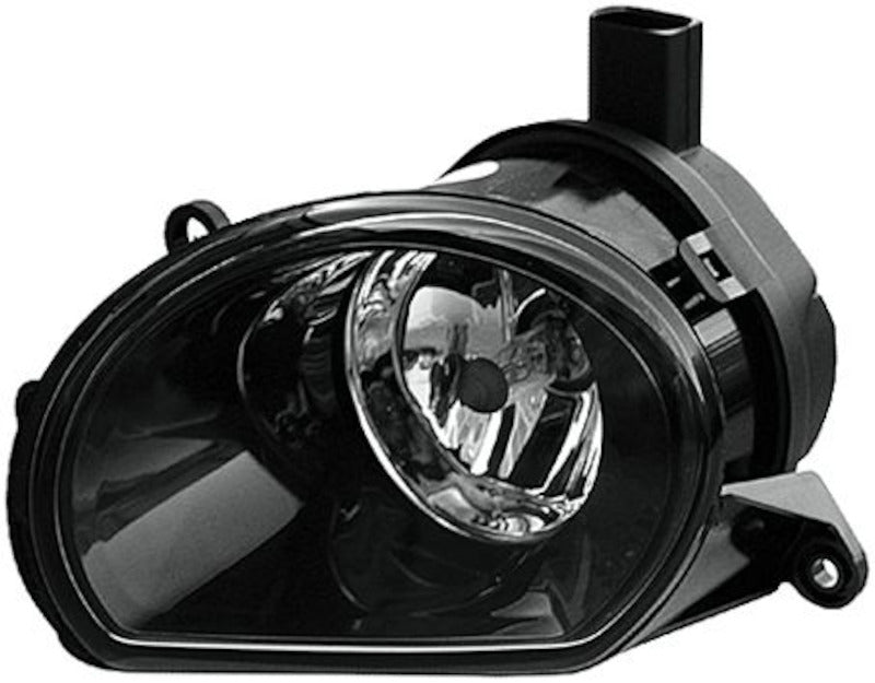 Front View of Right Fog Light Assembly HELLA 247003021